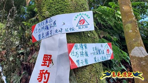 雙溪溝古道-石門嶺古道-內雙溪山8形 (47).jpg