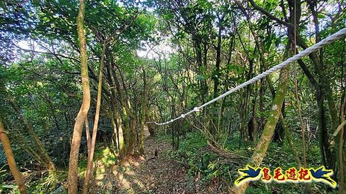 雙溪溝古道-石門嶺古道-內雙溪山8形 (45).jpg