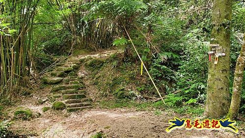 虎豹潭古道-大平山山腰古道-大石下土地公-水泥橋四叉路-大水窟土地公-芊蓁坑溪畔古道-樓仔厝古道8形 (6).jpg