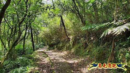 虎豹潭古道-大平山山腰古道-大石下土地公-水泥橋四叉路-大水窟土地公-芊蓁坑溪畔古道-樓仔厝古道8形 (5).jpg