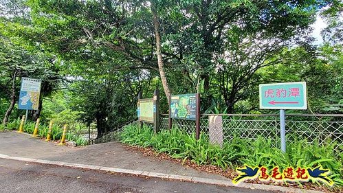 虎豹潭古道-大平山山腰古道-大石下土地公-水泥橋四叉路-大水窟土地公-芊蓁坑溪畔古道-樓仔厝古道8形 (1).jpg