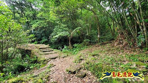 虎豹潭古道-大平山山腰古道-大石下土地公-水泥橋四叉路-大水窟土地公-芊蓁坑溪畔古道-樓仔厝古道8形 (11).jpg