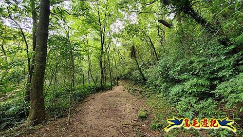 虎豹潭古道-大平山山腰古道-大石下土地公-水泥橋四叉路-大水窟土地公-芊蓁坑溪畔古道-樓仔厝古道8形 (10).jpg