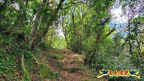 虎豹潭古道-大平山山腰古道-大石下土地公-水泥橋四叉路-大水窟土地公-芊蓁坑溪畔古道-樓仔厝古道8形 (8).jpg