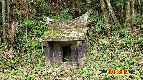 虎豹潭古道-大平山山腰古道-大石下土地公-水泥橋四叉路-大水窟土地公-芊蓁坑溪畔古道-樓仔厝古道8形 (12).jpg