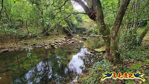 虎豹潭古道-大平山山腰古道-大石下土地公-水泥橋四叉路-大水窟土地公-芊蓁坑溪畔古道-樓仔厝古道8形 (15).jpg