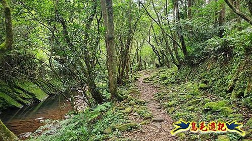 虎豹潭古道-大平山山腰古道-大石下土地公-水泥橋四叉路-大水窟土地公-芊蓁坑溪畔古道-樓仔厝古道8形 (17).jpg