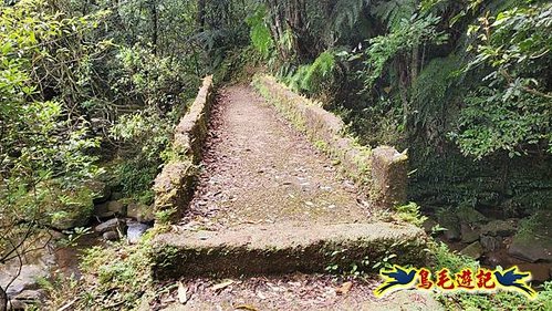 虎豹潭古道-大平山山腰古道-大石下土地公-水泥橋四叉路-大水窟土地公-芊蓁坑溪畔古道-樓仔厝古道8形 (14).jpg