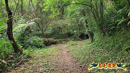 虎豹潭古道-大平山山腰古道-大石下土地公-水泥橋四叉路-大水窟土地公-芊蓁坑溪畔古道-樓仔厝古道8形 (16).jpg