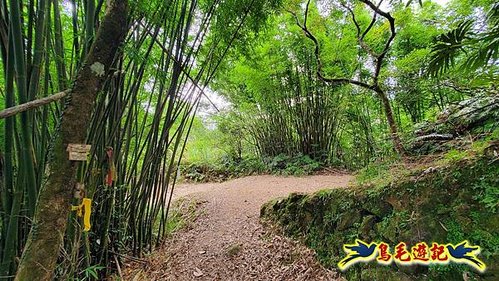 虎豹潭古道-大平山山腰古道-大石下土地公-水泥橋四叉路-大水窟土地公-芊蓁坑溪畔古道-樓仔厝古道8形 (22).jpg