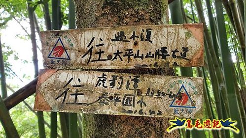 虎豹潭古道-大平山山腰古道-大石下土地公-水泥橋四叉路-大水窟土地公-芊蓁坑溪畔古道-樓仔厝古道8形 (24).jpg