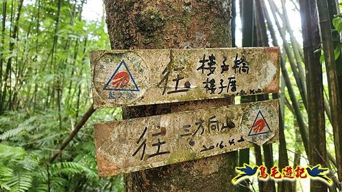 虎豹潭古道-大平山山腰古道-大石下土地公-水泥橋四叉路-大水窟土地公-芊蓁坑溪畔古道-樓仔厝古道8形 (23).jpg