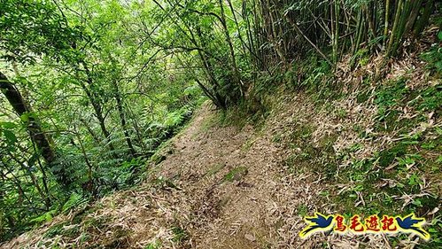 虎豹潭古道-大平山山腰古道-大石下土地公-水泥橋四叉路-大水窟土地公-芊蓁坑溪畔古道-樓仔厝古道8形 (25).jpg