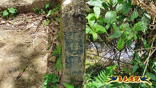 虎豹潭古道-大平山山腰古道-大石下土地公-水泥橋四叉路-大水窟土地公-芊蓁坑溪畔古道-樓仔厝古道8形 (28).jpg