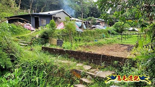 虎豹潭古道-大平山山腰古道-大石下土地公-水泥橋四叉路-大水窟土地公-芊蓁坑溪畔古道-樓仔厝古道8形 (31).jpg