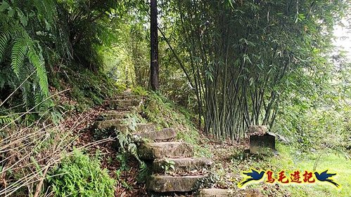 虎豹潭古道-大平山山腰古道-大石下土地公-水泥橋四叉路-大水窟土地公-芊蓁坑溪畔古道-樓仔厝古道8形 (30).jpg