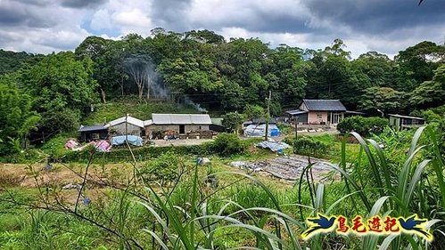 虎豹潭古道-大平山山腰古道-大石下土地公-水泥橋四叉路-大水窟土地公-芊蓁坑溪畔古道-樓仔厝古道8形 (33).jpg