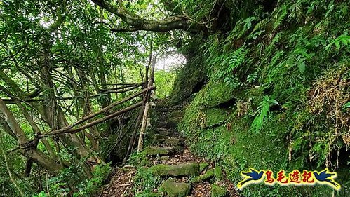 虎豹潭古道-大平山山腰古道-大石下土地公-水泥橋四叉路-大水窟土地公-芊蓁坑溪畔古道-樓仔厝古道8形 (36).jpg