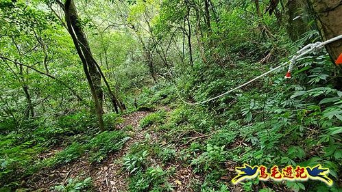 虎豹潭古道-大平山山腰古道-大石下土地公-水泥橋四叉路-大水窟土地公-芊蓁坑溪畔古道-樓仔厝古道8形 (39).jpg