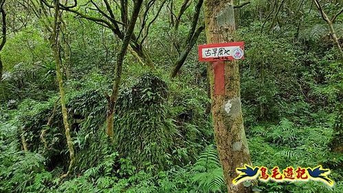 虎豹潭古道-大平山山腰古道-大石下土地公-水泥橋四叉路-大水窟土地公-芊蓁坑溪畔古道-樓仔厝古道8形 (40).jpg