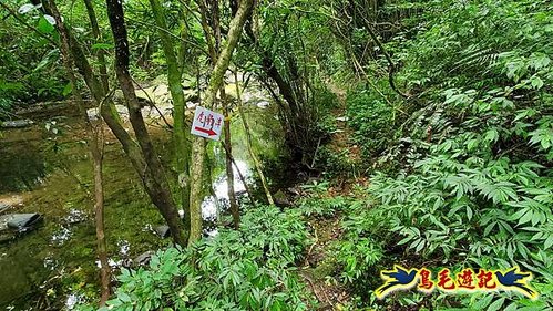 虎豹潭古道-大平山山腰古道-大石下土地公-水泥橋四叉路-大水窟土地公-芊蓁坑溪畔古道-樓仔厝古道8形 (44).jpg