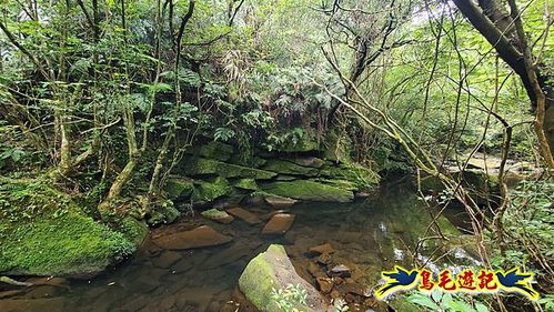 虎豹潭古道-大平山山腰古道-大石下土地公-水泥橋四叉路-大水窟土地公-芊蓁坑溪畔古道-樓仔厝古道8形 (45).jpg