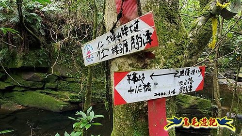 虎豹潭古道-大平山山腰古道-大石下土地公-水泥橋四叉路-大水窟土地公-芊蓁坑溪畔古道-樓仔厝古道8形 (43).jpg