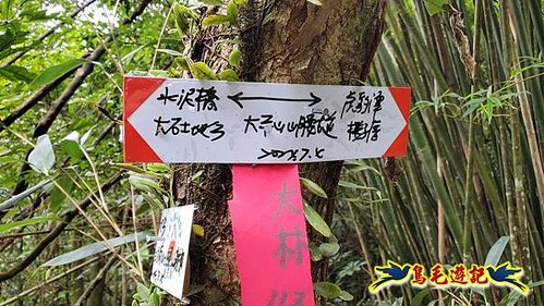 虎豹潭古道-大平山山腰古道-大石下土地公-水泥橋四叉路-大水窟土地公-芊蓁坑溪畔古道-樓仔厝古道8形 (50).jpg