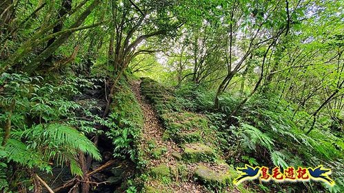 虎豹潭古道-大平山山腰古道-大石下土地公-水泥橋四叉路-大水窟土地公-芊蓁坑溪畔古道-樓仔厝古道8形 (56).jpg