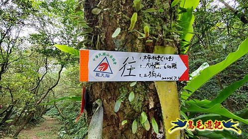 虎豹潭古道-大平山山腰古道-大石下土地公-水泥橋四叉路-大水窟土地公-芊蓁坑溪畔古道-樓仔厝古道8形 (53).jpg