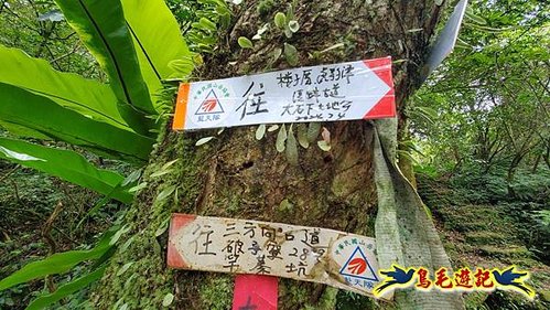 虎豹潭古道-大平山山腰古道-大石下土地公-水泥橋四叉路-大水窟土地公-芊蓁坑溪畔古道-樓仔厝古道8形 (54).jpg