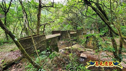 虎豹潭古道-大平山山腰古道-大石下土地公-水泥橋四叉路-大水窟土地公-芊蓁坑溪畔古道-樓仔厝古道8形 (55).jpg