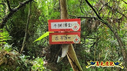 虎豹潭古道-大平山山腰古道-大石下土地公-水泥橋四叉路-大水窟土地公-芊蓁坑溪畔古道-樓仔厝古道8形 (61).jpg