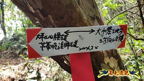 虎豹潭古道-大平山山腰古道-大石下土地公-水泥橋四叉路-大水窟土地公-芊蓁坑溪畔古道-樓仔厝古道8形 (64).jpg