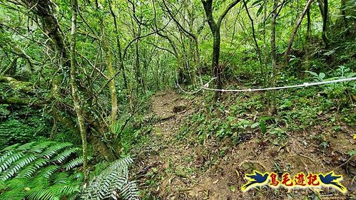 虎豹潭古道-大平山山腰古道-大石下土地公-水泥橋四叉路-大水窟土地公-芊蓁坑溪畔古道-樓仔厝古道8形 (67).jpg