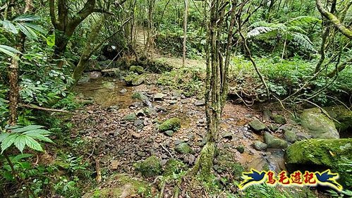 虎豹潭古道-大平山山腰古道-大石下土地公-水泥橋四叉路-大水窟土地公-芊蓁坑溪畔古道-樓仔厝古道8形 (65).jpg