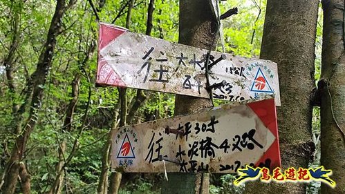 虎豹潭古道-大平山山腰古道-大石下土地公-水泥橋四叉路-大水窟土地公-芊蓁坑溪畔古道-樓仔厝古道8形 (69).jpg