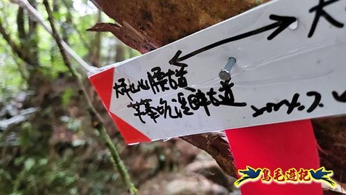 虎豹潭古道-大平山山腰古道-大石下土地公-水泥橋四叉路-大水窟土地公-芊蓁坑溪畔古道-樓仔厝古道8形 (74).jpg