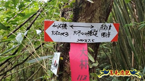 虎豹潭古道-大平山山腰古道-大石下土地公-水泥橋四叉路-大水窟土地公-芊蓁坑溪畔古道-樓仔厝古道8形 (76).jpg