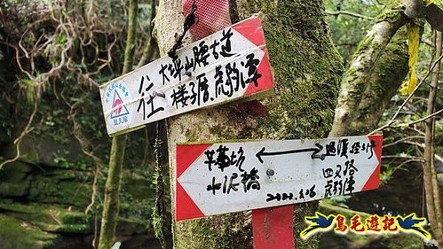 虎豹潭古道-大平山山腰古道-大石下土地公-水泥橋四叉路-大水窟土地公-芊蓁坑溪畔古道-樓仔厝古道8形 (77).jpg