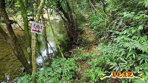 虎豹潭古道-大平山山腰古道-大石下土地公-水泥橋四叉路-大水窟土地公-芊蓁坑溪畔古道-樓仔厝古道8形 (78).jpg