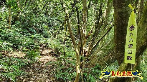 虎豹潭古道-大平山山腰古道-大石下土地公-水泥橋四叉路-大水窟土地公-芊蓁坑溪畔古道-樓仔厝古道8形 (82).jpg