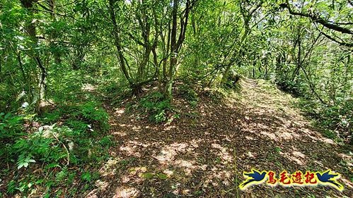 虎豹潭古道-大平山山腰古道-大石下土地公-水泥橋四叉路-大水窟土地公-芊蓁坑溪畔古道-樓仔厝古道8形 (84).jpg