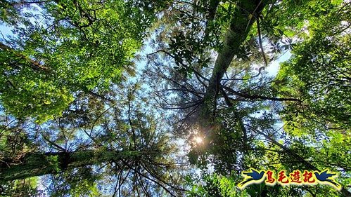 虎豹潭古道-大平山山腰古道-大石下土地公-水泥橋四叉路-大水窟土地公-芊蓁坑溪畔古道-樓仔厝古道8形 (83).jpg