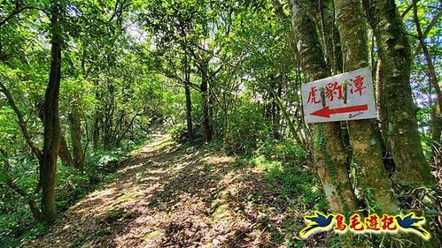 虎豹潭古道-大平山山腰古道-大石下土地公-水泥橋四叉路-大水窟土地公-芊蓁坑溪畔古道-樓仔厝古道8形 (85).jpg