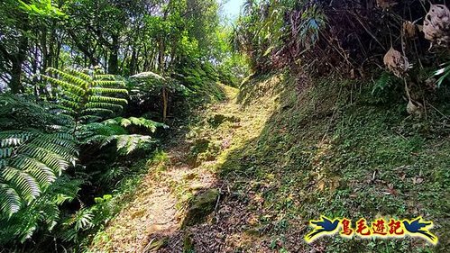 虎豹潭古道-大平山山腰古道-大石下土地公-水泥橋四叉路-大水窟土地公-芊蓁坑溪畔古道-樓仔厝古道8形 (88).jpg