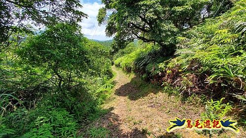 虎豹潭古道-大平山山腰古道-大石下土地公-水泥橋四叉路-大水窟土地公-芊蓁坑溪畔古道-樓仔厝古道8形 (89).jpg