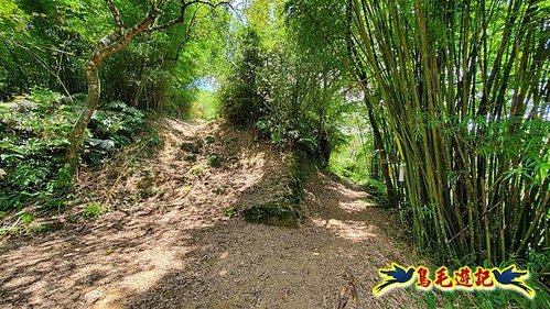 虎豹潭古道-大平山山腰古道-大石下土地公-水泥橋四叉路-大水窟土地公-芊蓁坑溪畔古道-樓仔厝古道8形 (93).jpg