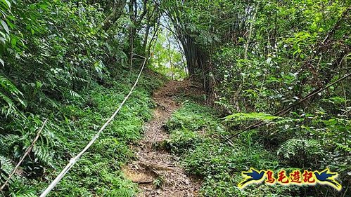 虎豹潭古道-大平山山腰古道-大石下土地公-水泥橋四叉路-大水窟土地公-芊蓁坑溪畔古道-樓仔厝古道8形 (106).jpg