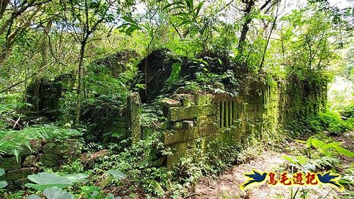 虎豹潭古道-大平山山腰古道-大石下土地公-水泥橋四叉路-大水窟土地公-芊蓁坑溪畔古道-樓仔厝古道8形 (107).jpg